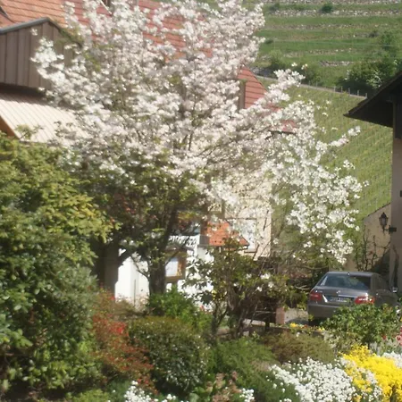 Altenberg Szálloda Baden-Baden