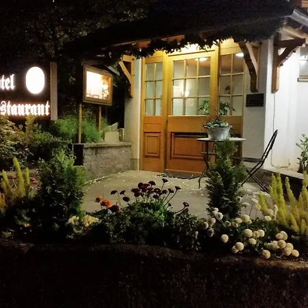 酒店 阿尔滕贝格酒店 3*