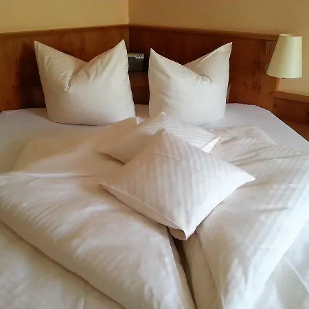 Hotel Altenberg 3*