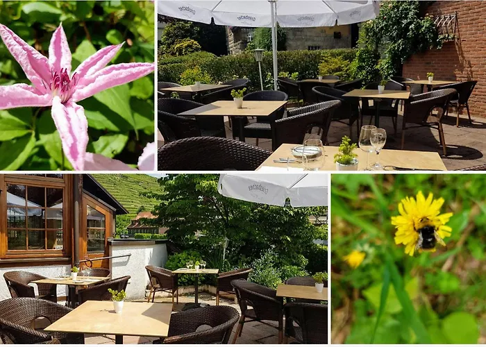 アルテンベルク 3*