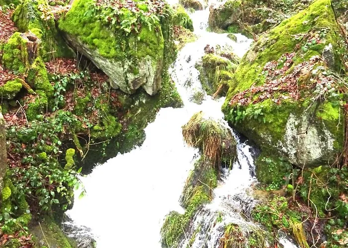 ホテル アルテンベルク 3*