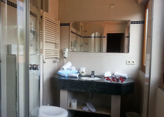 阿尔滕贝格酒店 3*