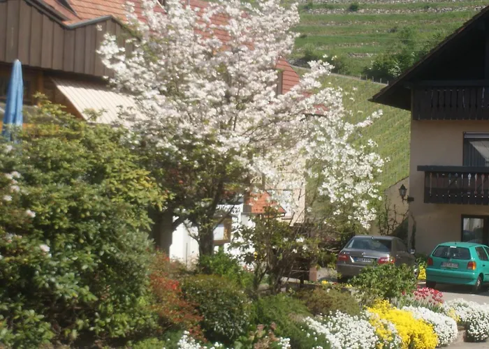 アルテンベルク ホテル バーデン＝バーデン