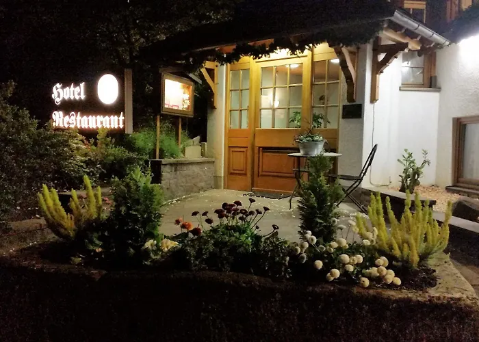 酒店 阿尔滕贝格酒店 3*